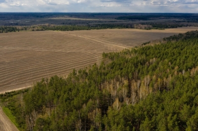 Прокуратура вимагає повернути Баришівській громаді землі вартістю понад 28 млн грн